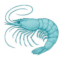 A Legacy of Trust, Proven Over Time